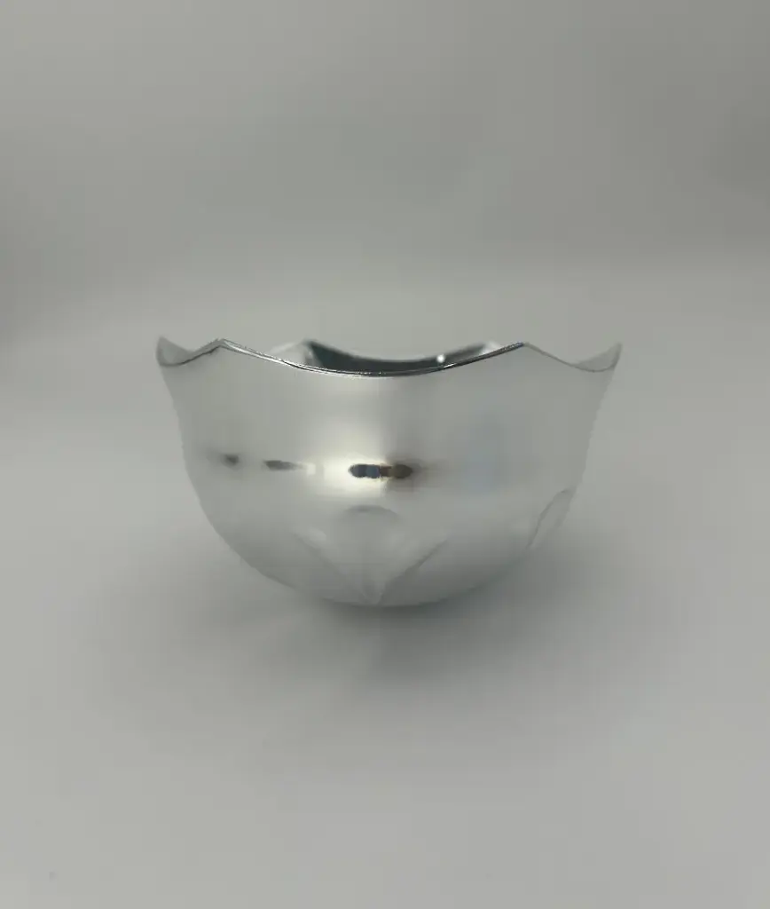 Cupula 1D91 100mm Plata