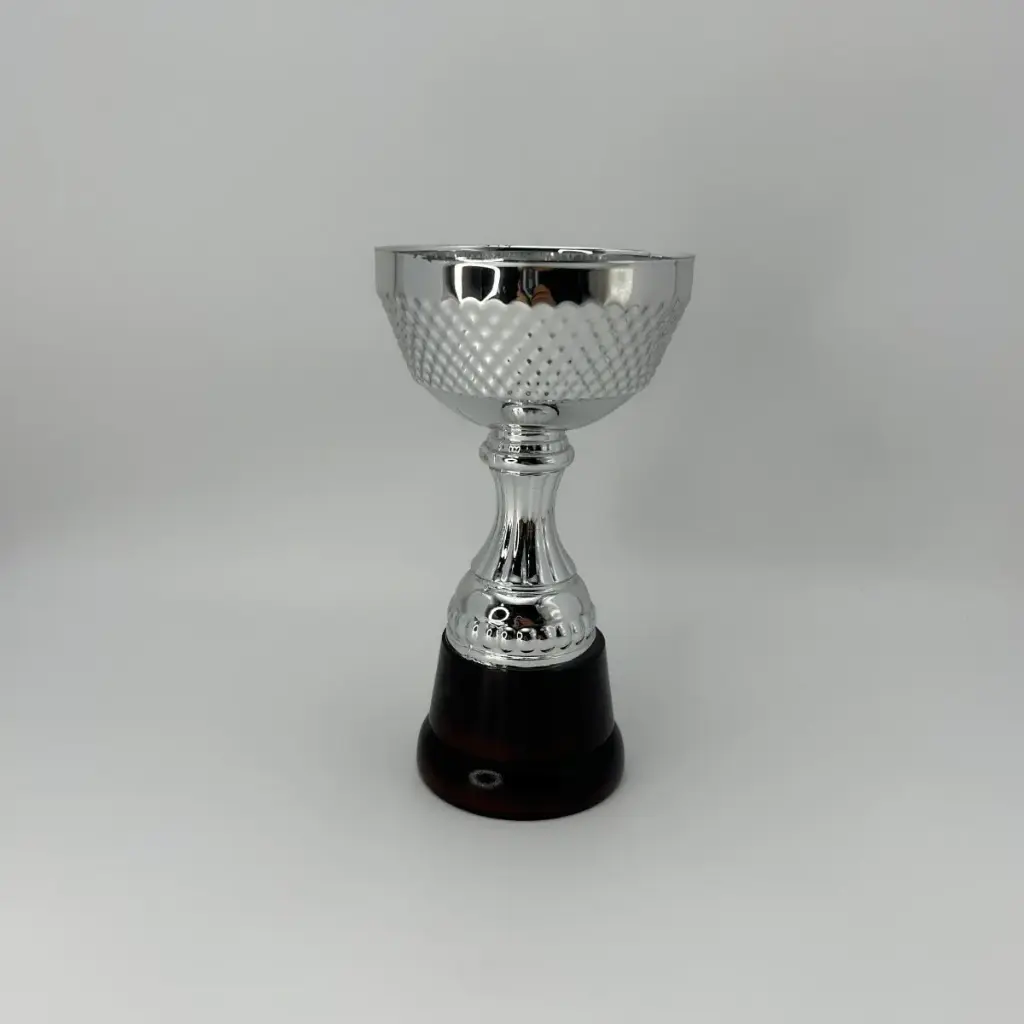 Linea Zafira Diam 100 Plata
