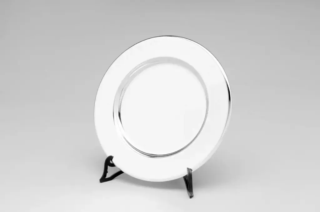 Plato Redondo Liso Diam.100mm Plata