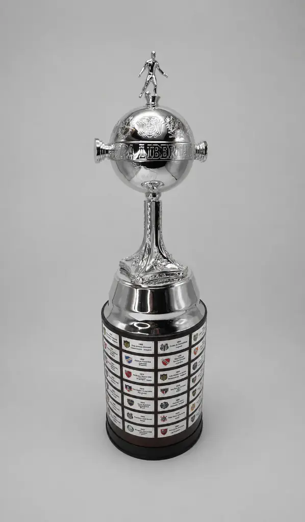 Copa Libertadores Replica 98 Cms