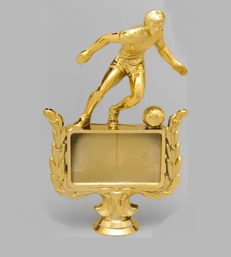 [4130] Futbol Con Cancha Oro