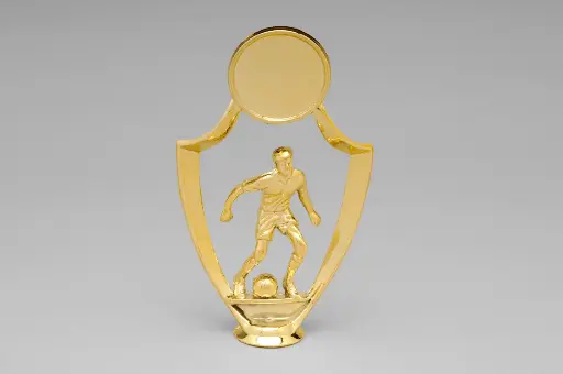 [4040] Futbol Con Centro Oro