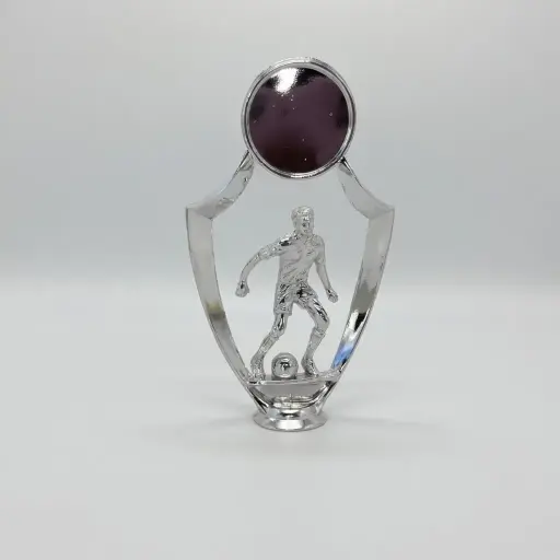 [4041] Futbol Con Centro Plata