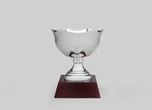 [K2278] Linea Cupula 160 Plata