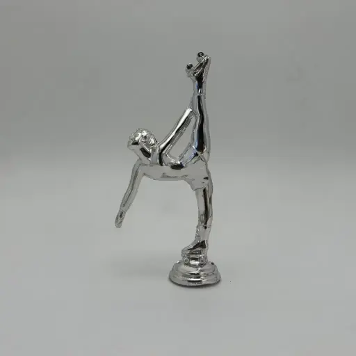 [4931] Patin Plata