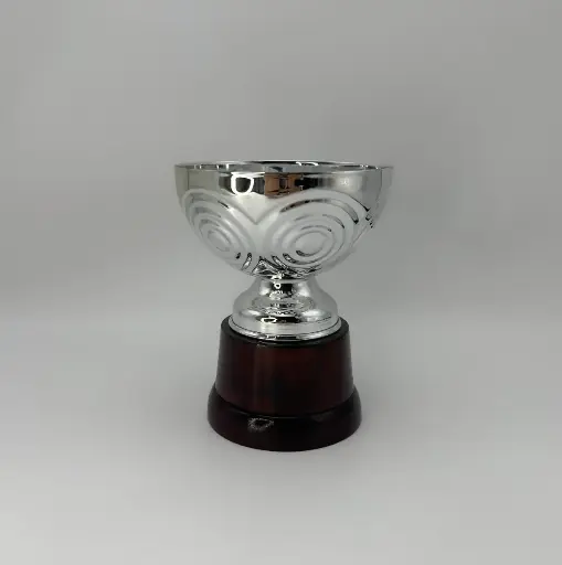 [K5044] Línea Concentrica 160 PLATA