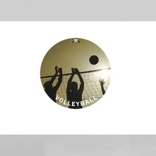 [50131] Adhesivo Color Volley